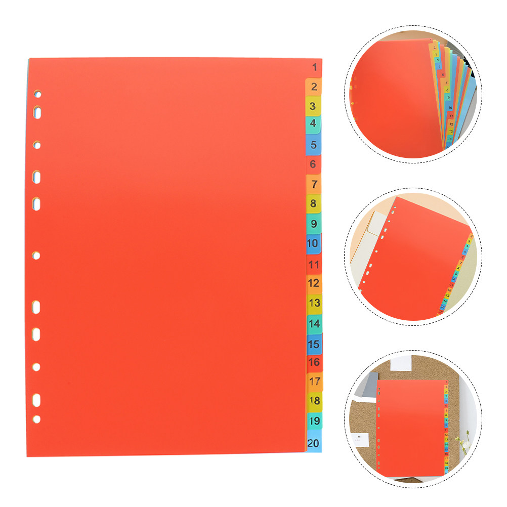 Tab Divider A4 - مجموعتان من فواصل الفهرسة البلاستيكية لدفاتر